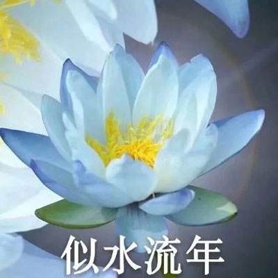 中国伦理学会实践哲学专业委员会在天津成立